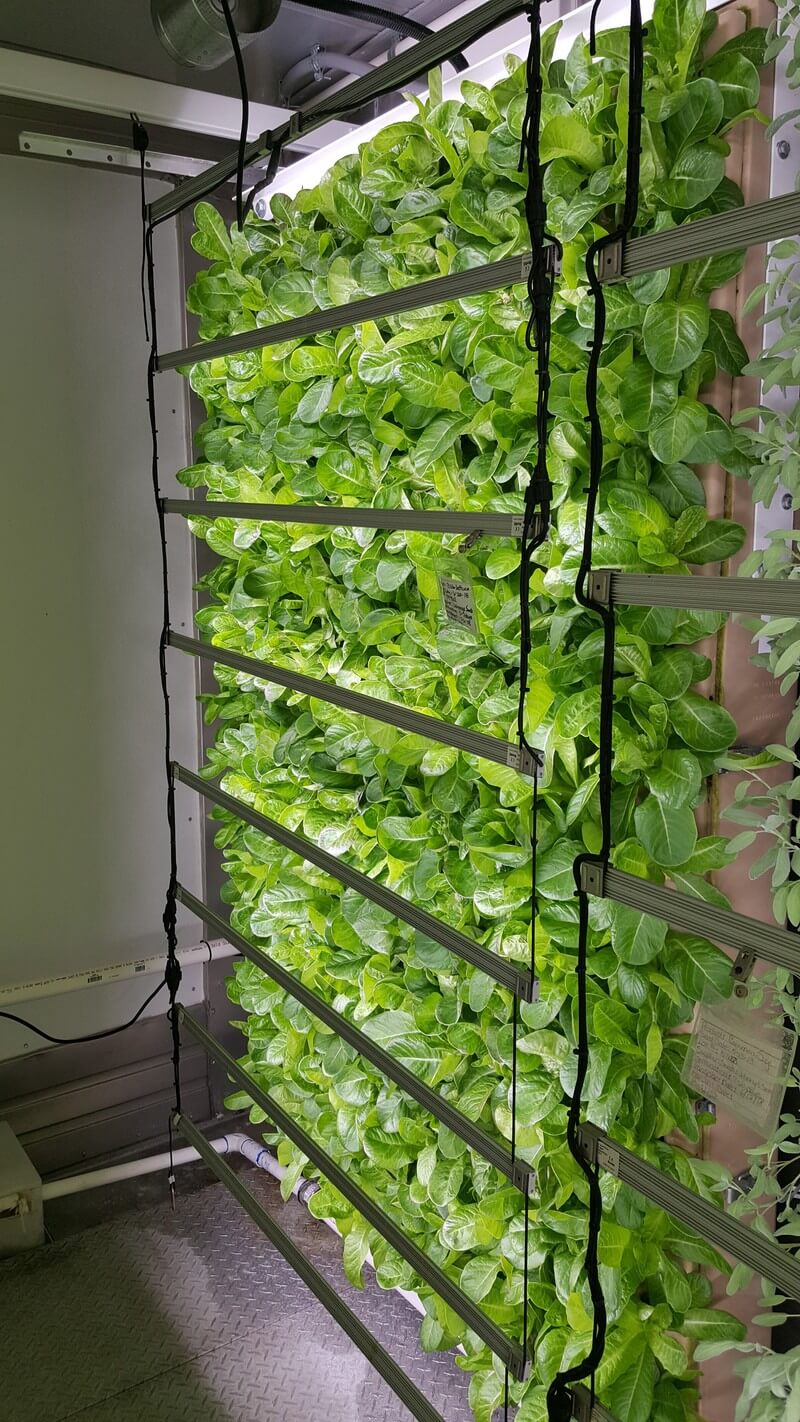 Ase Led Strips Lights For Growing Food (2)